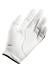 Wilson Grip Plus Glove