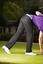 Stromberg Marinha Funky Golf Trousers 2011