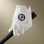 NEW Footjoy Pure Touch Glove