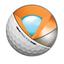 Titleist Pro V1X Golf Balls 2011, 1 Dozen 