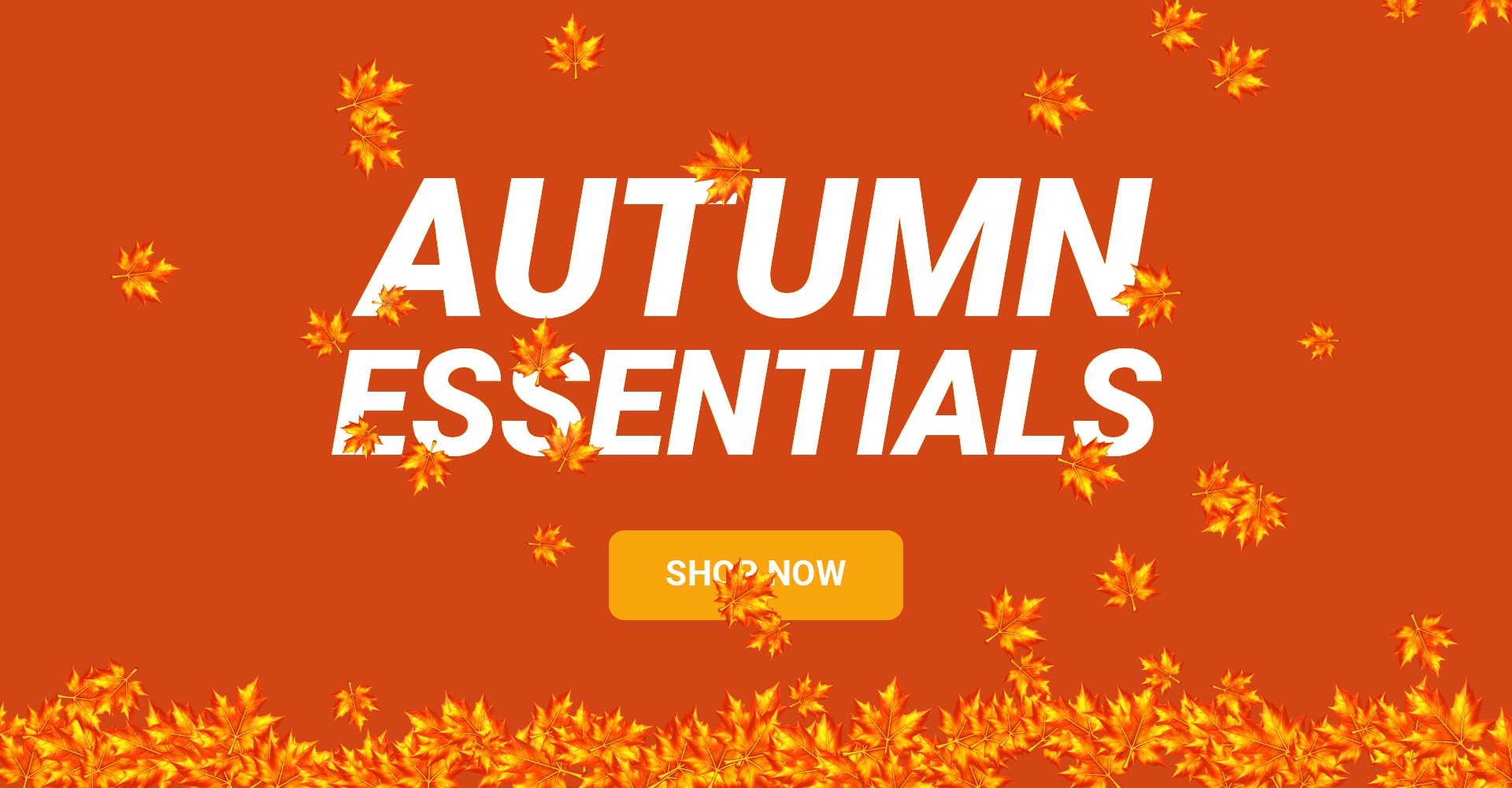 Autumn Essentials
