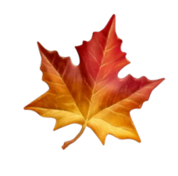 icon: Autumn Essentials