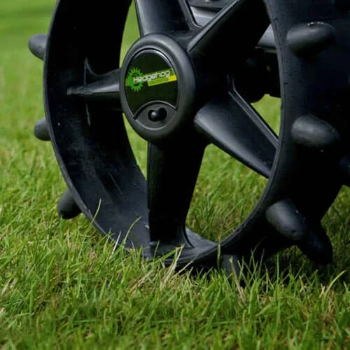 Hedgehog Winter Wheels