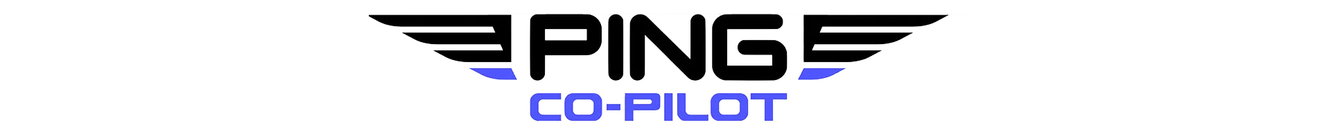 PING Co-Pilot Logo