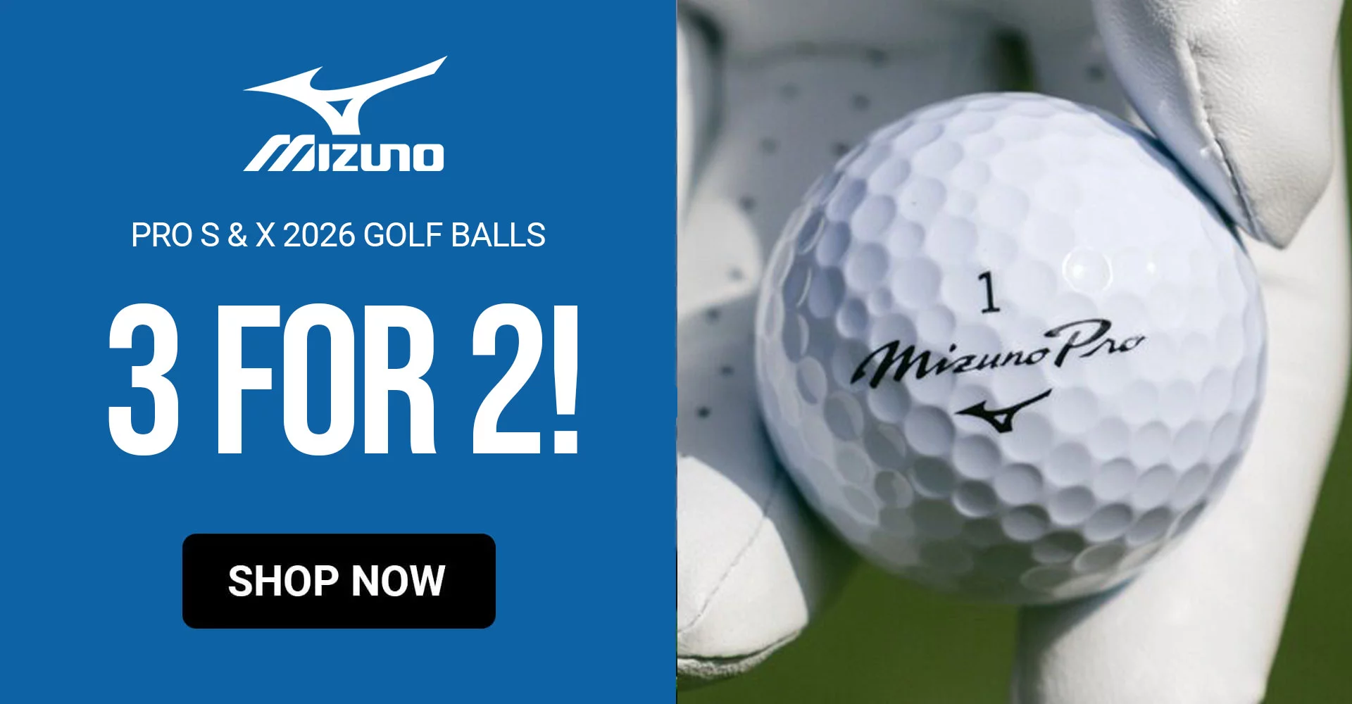 Mizuno Pro 3 For 2
