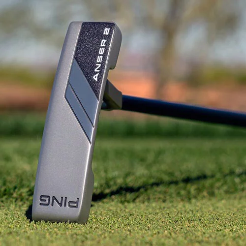 Ping 2024 Anser 2