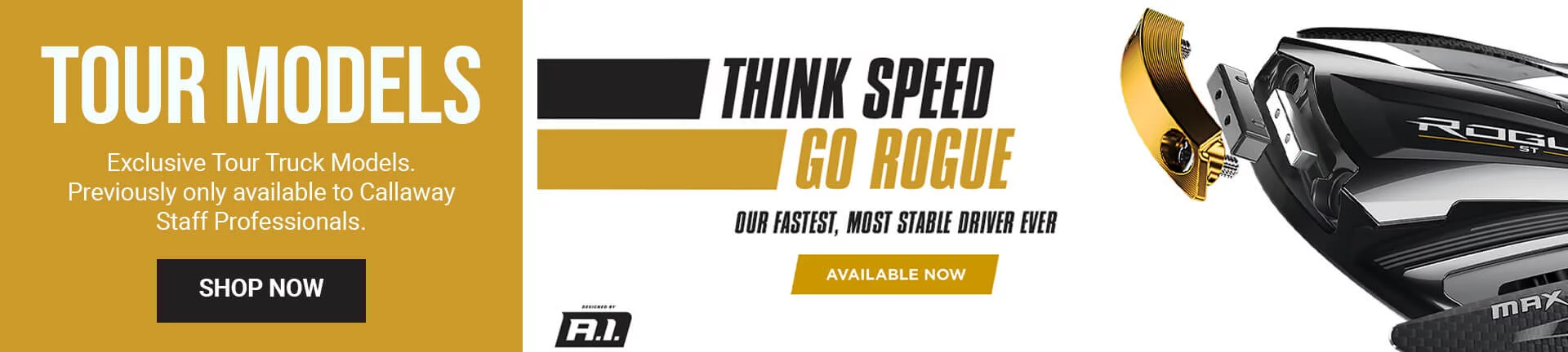 Rogue ST Tour Banner