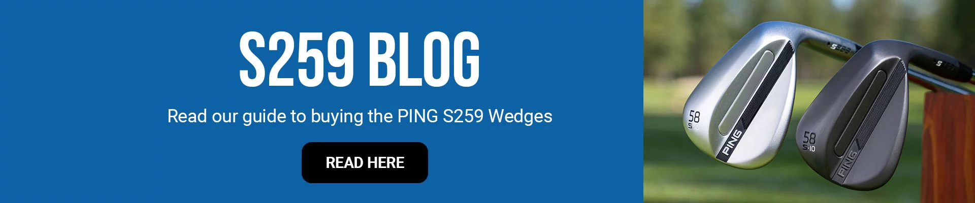 Ping S259 Blog
