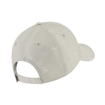 Ping-Mr-Ping-Cap-Grey-Back - main image