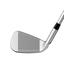 Ping i210 Irons - Graphite face