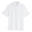 Ashworth Dry Release Golf Polo - White - thumbnail image 1